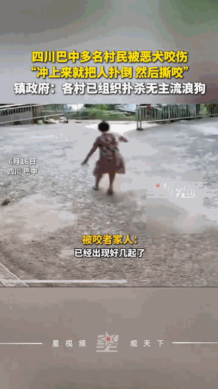 “太可怕了！”6月16日，四川巴中，一老人在家附近溜达，不料被恶犬扑倒撕咬，胸膛