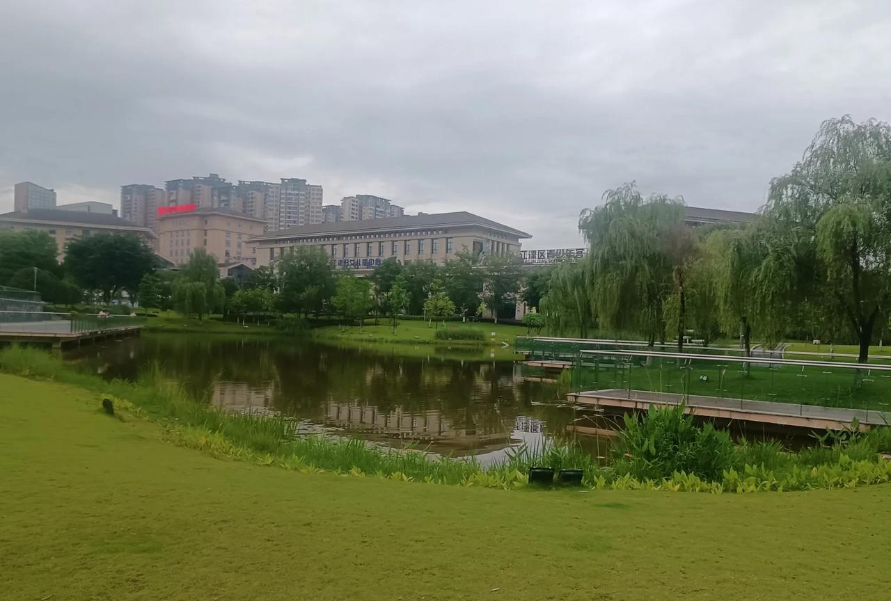 不管你信还是不信，最想结婚的是农村的小伙子，但最有可能结不了婚的也还是农村小伙子