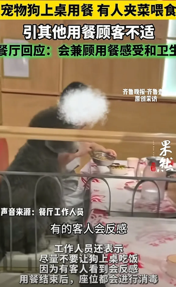 “狗与人共进晚餐”

7月21日，江西宜春市某餐厅里发生令人恶心的一幕，一名网友