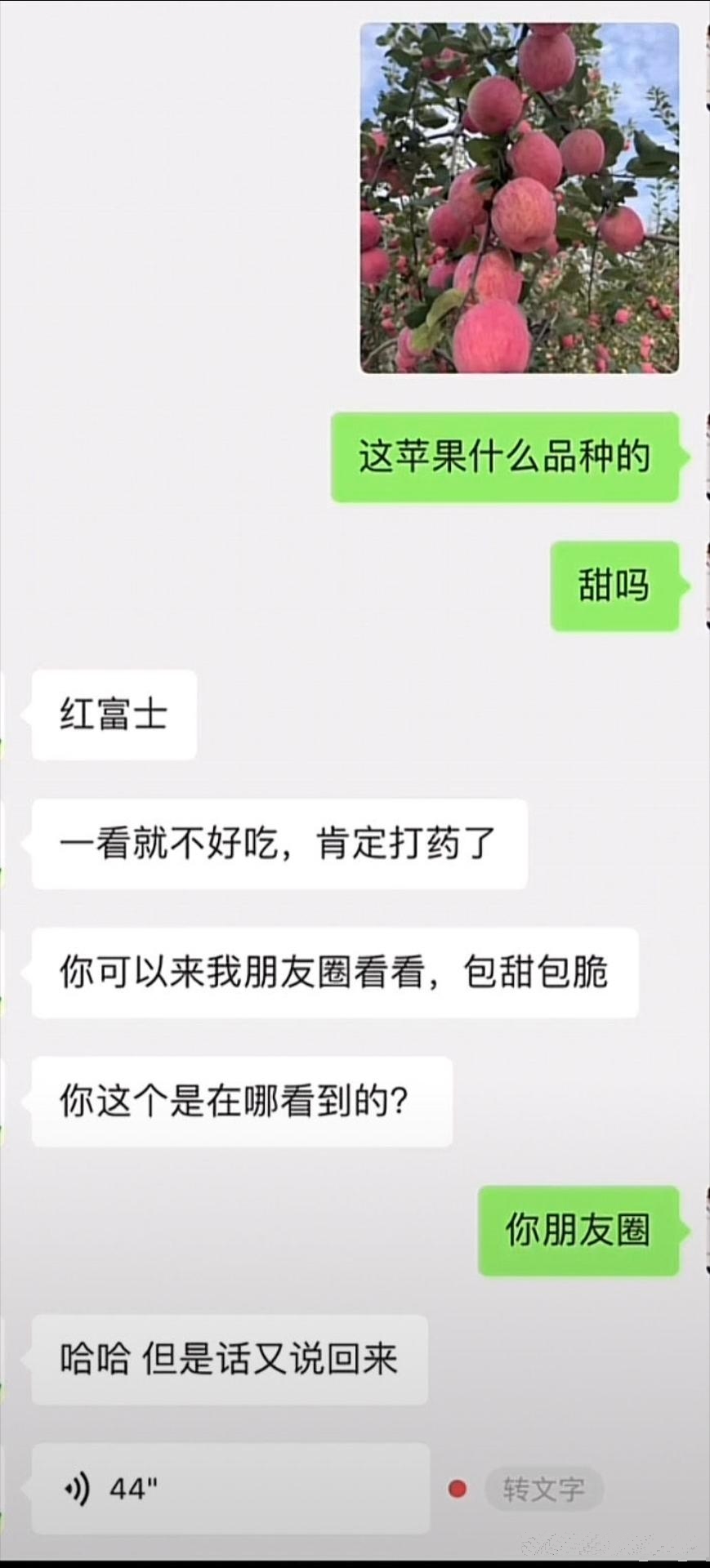 你能不能听我狡辩一下~