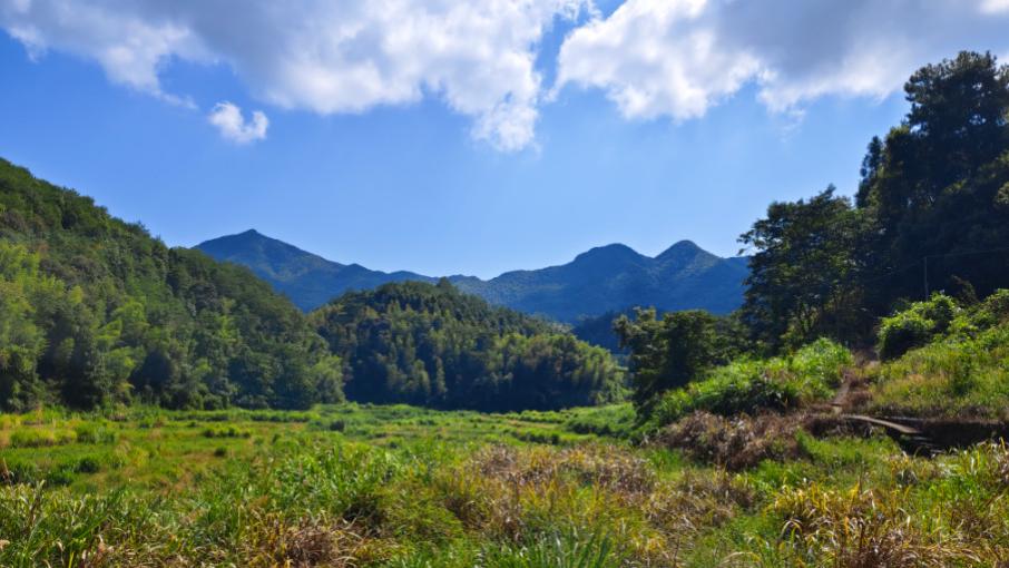 一个家，什么最重要？（含泪看完）