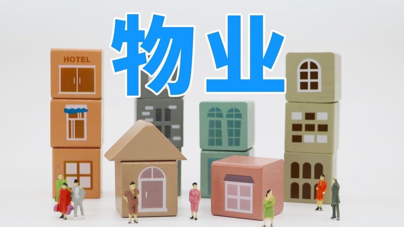 物业撤退潮后遗症：2025年那些"炒掉物业"的小区现状