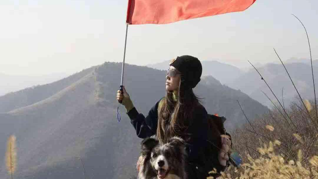 从一道伤痕到一场革命：皮蛋的划痕，如何催生专业宠物户外品牌「兽岛」