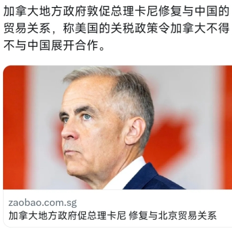 外媒今天（7月25日）报道：“加拿大地方政府敦促总理卡尼修复与中国的贸易关系，称