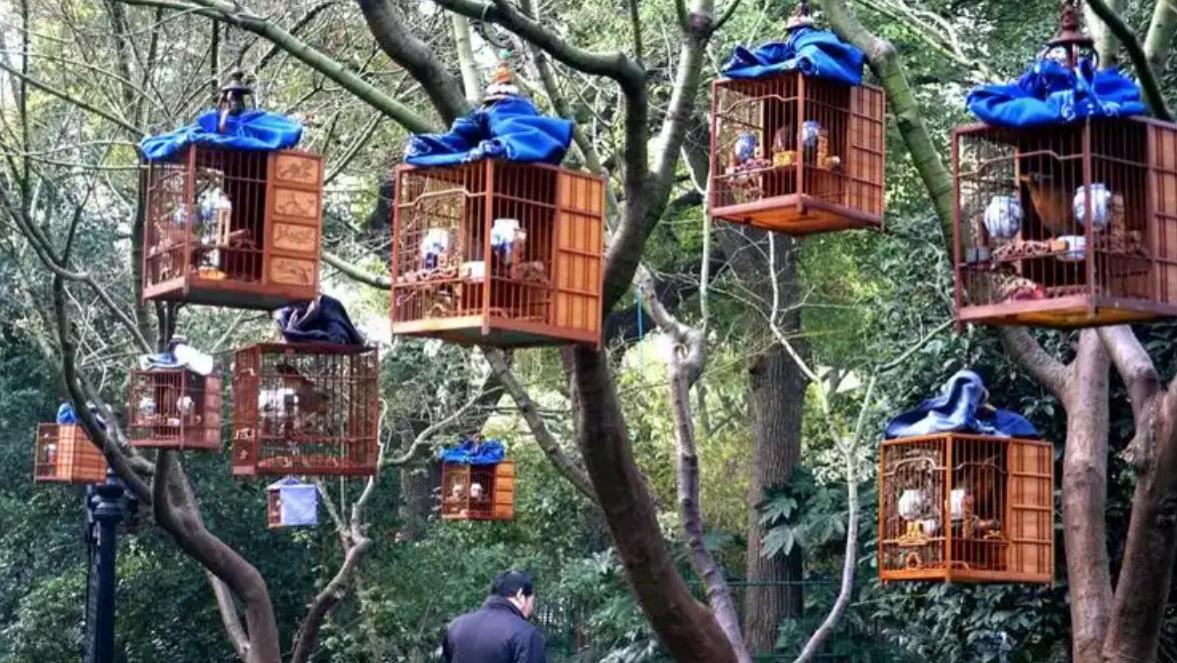 有爱好是好事，玩物丧志是坏事，一定要把握好度