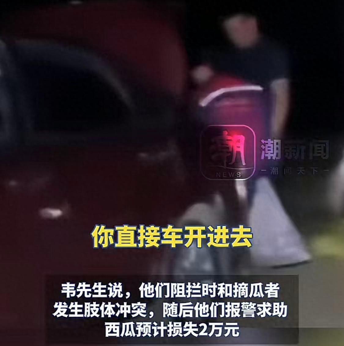 一瓜园遭村民冲入哄抢，预计损失2万元，村干部：村民以为是尾瓜
“人太多了，拦都拦