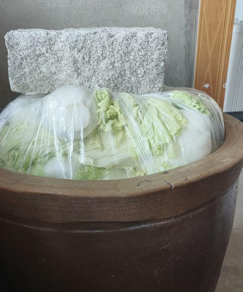 腌酸菜不烂秘诀！100个人里面有99个人第一步就做错了，只要记住这几个小窍门，颗