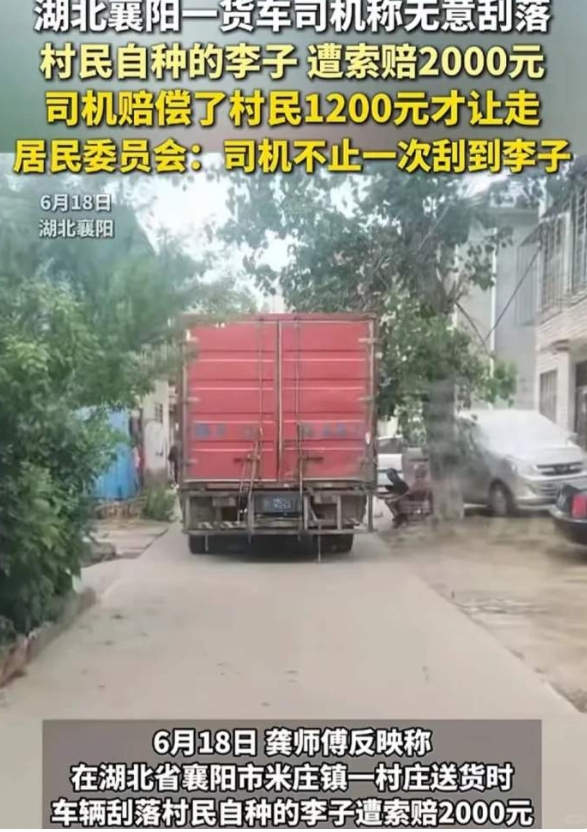 “严查到底！”6月18日，湖北襄阳，一位货车司机在送货时，不慎刮到了村民家的李子