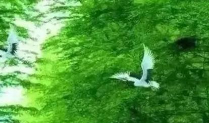 网红蓝战非账号被封？这波操作真不冤！
最近刷手机，估计不少人都刷到了蓝战非的消息