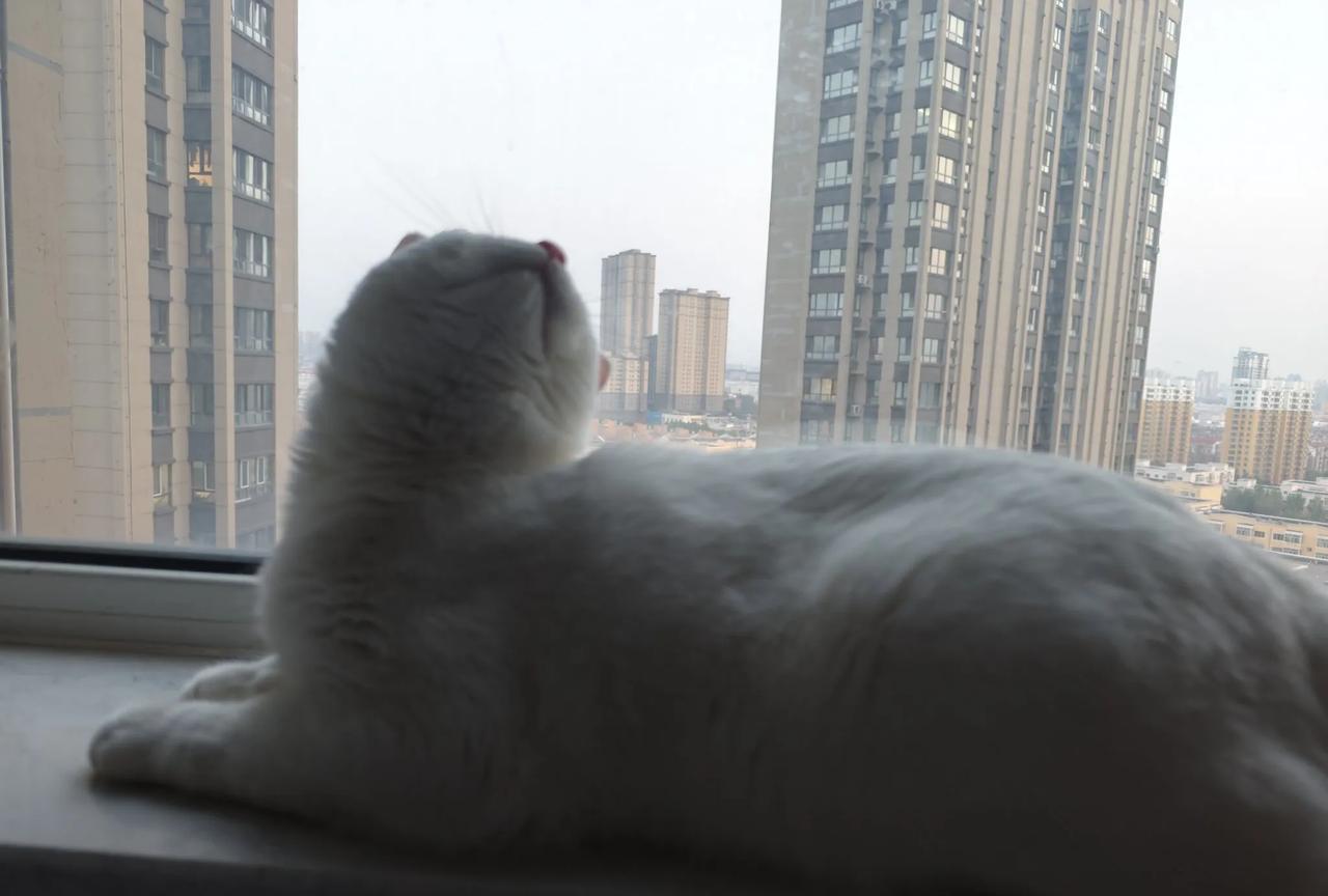 人在低谷，更需心存善念。低谷是命运的磨砺，善念则是黑暗中的微光。于困境中保持善意
