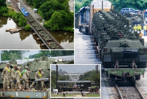 为了给特朗普庆生，美国阅兵式将出现2头骡子？

6月14日的美国阅兵日已经近在眼