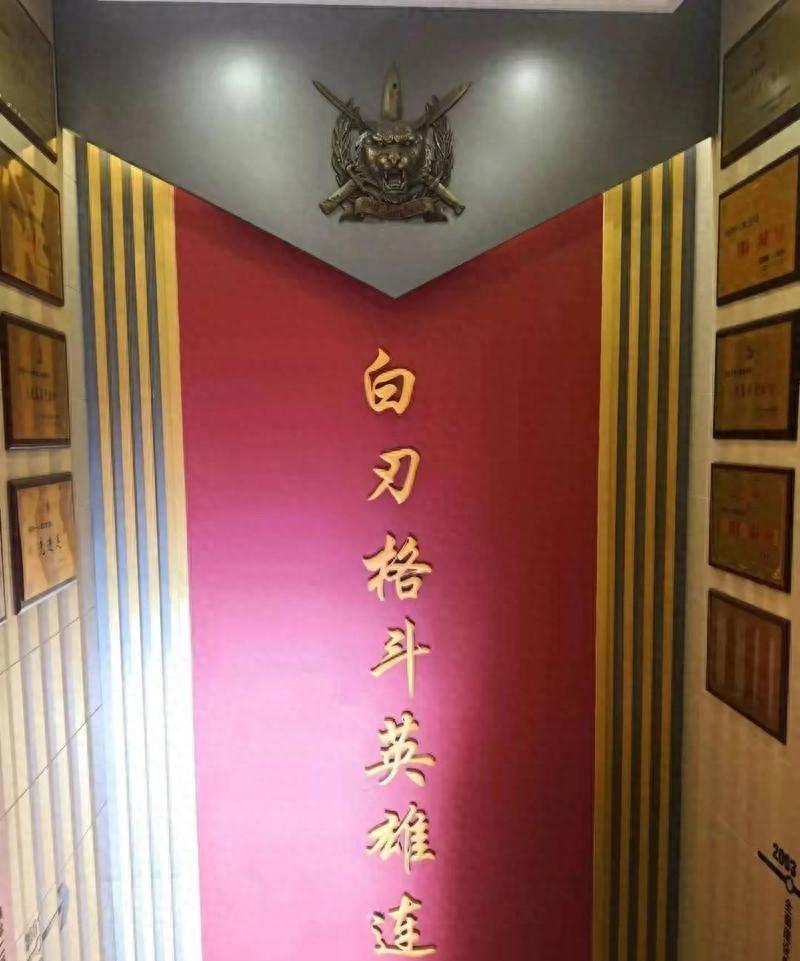 1933年喜峰口寒夜，西北军500壮士抡着三尺大刀摸进敌营，刀光闪过处200多颗