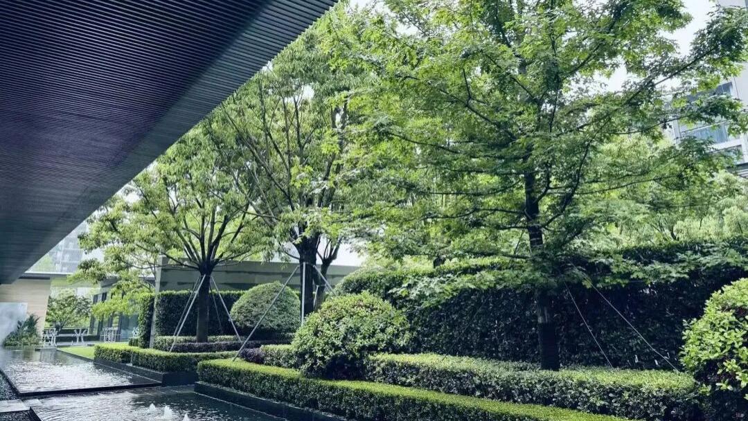 当“销冠”保利开始亏损