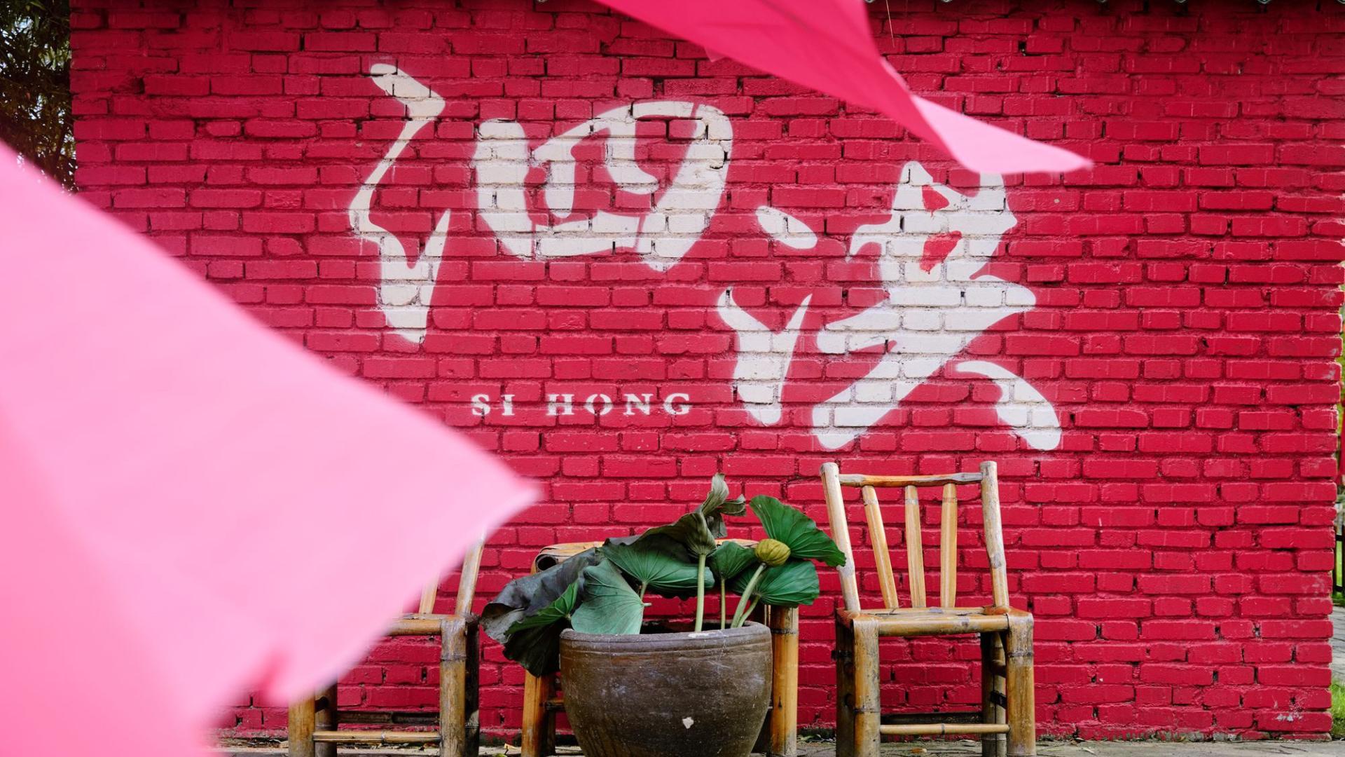 宿迁泗洪洪泽湖湿地，芦苇遍布，环境优美，一幅被秋天浸染的水墨画