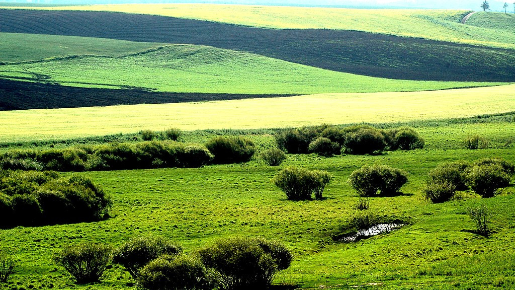 人气很高，行情会持续火热
