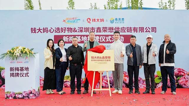 钱大妈携手鑫荣懋新疆共建西梅基地，推动“疆品南下”提质升级