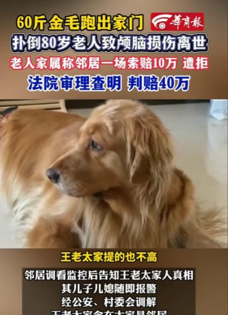 4月15日，江苏，80岁的王老太散步时被邻居家的大金毛扑倒后离世，家属只要求邻居
