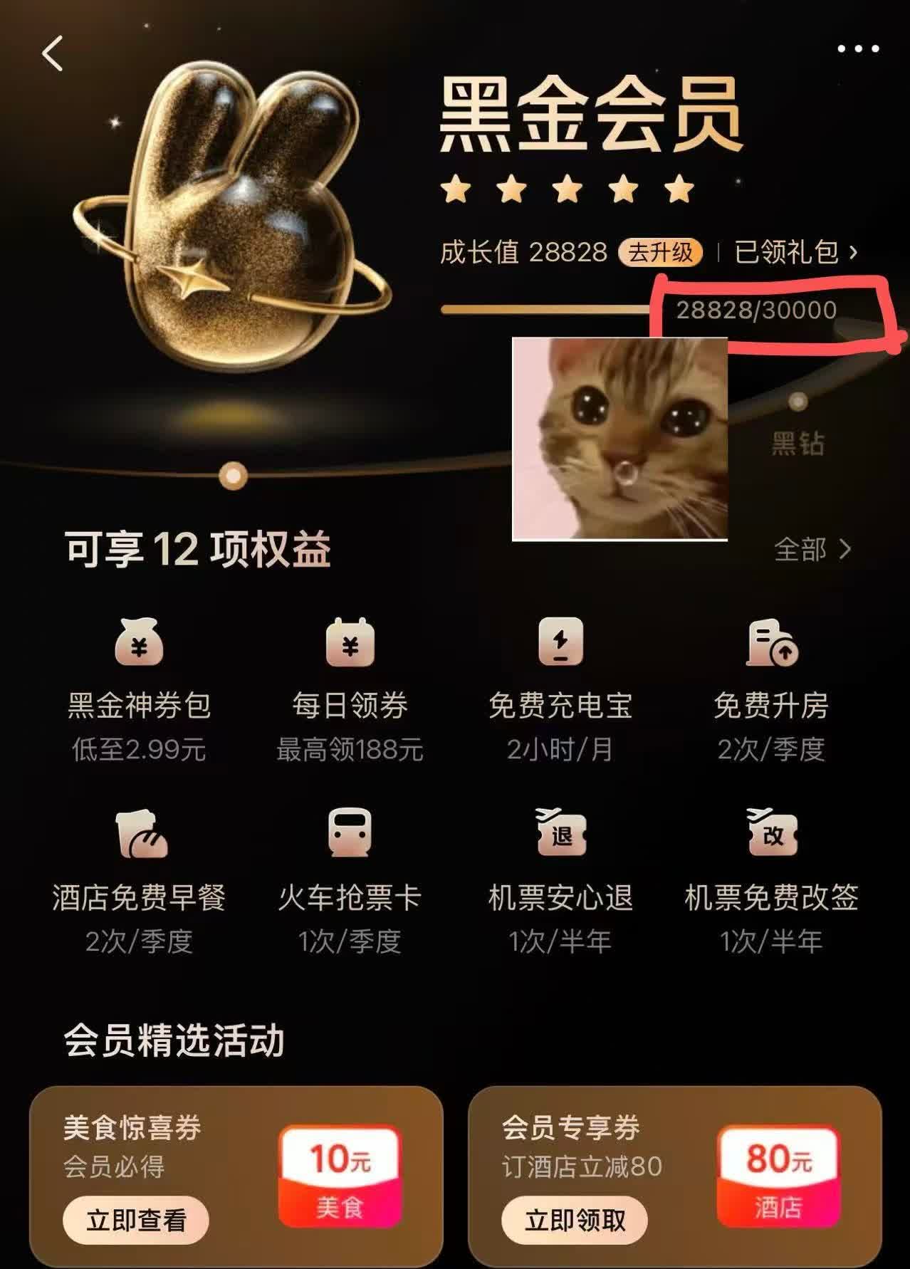 朋友是美团黑钻会员，刚和我炫耀免费喝到奶茶了😠打开美团一看，我是黑金（还差一丢