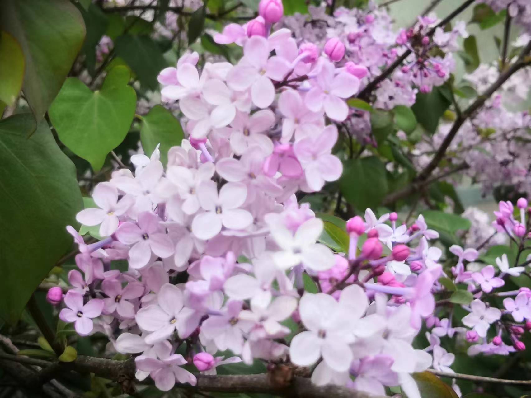 余生太长，我想牵着你的手