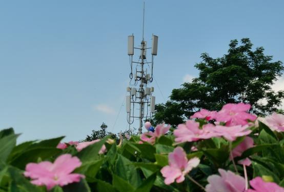 #翼声问候#粉花绽新姿，蓝天铺坦途，新日启程，让美好一路相随。早安！（劳动竞赛作