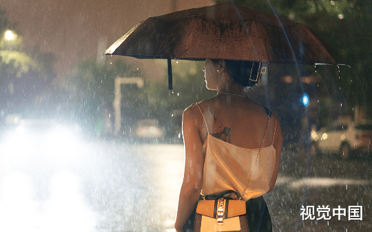 雨夜闯入我家的美人