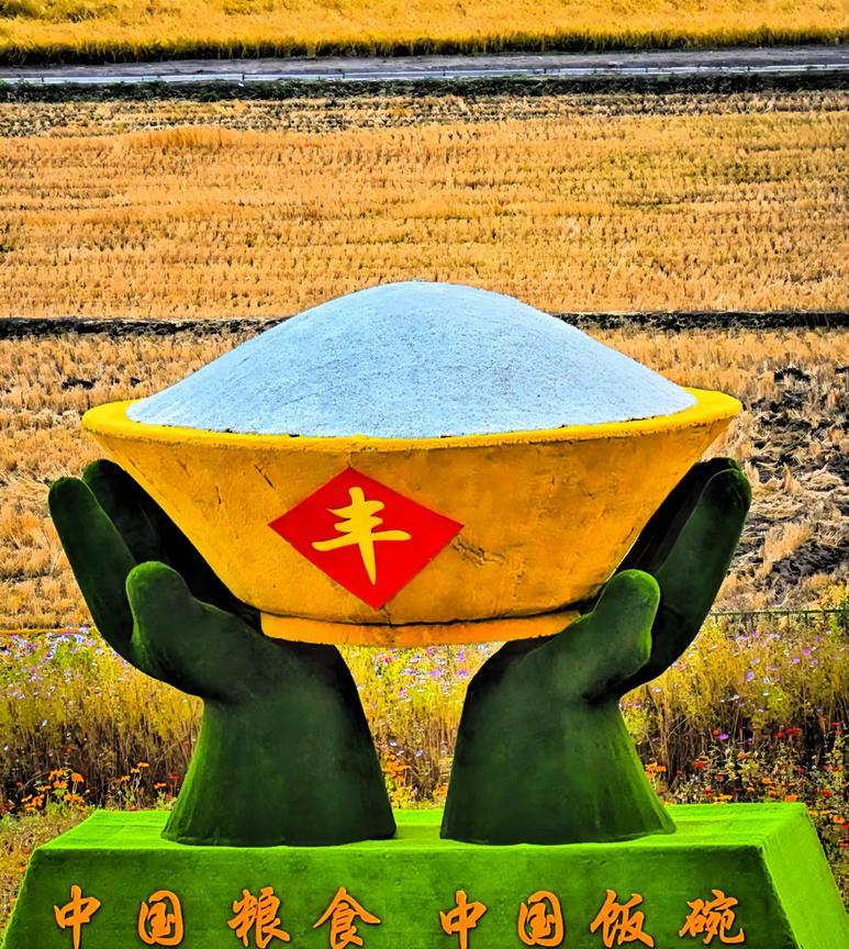 中美关税大战，受益最大就是国内农业！
农业，永远是一个绕不开的话题。因为我们每个