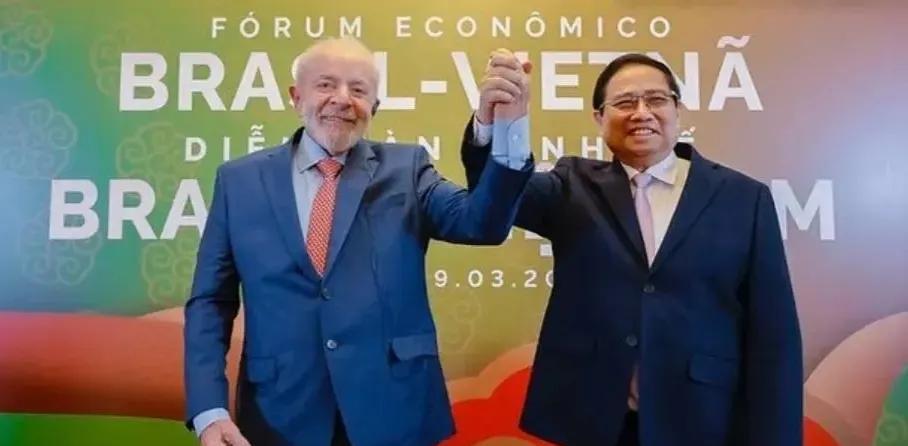 作为金砖轮值主席国的巴西宣布，越南正式加入金砖国家合作机制，成为伙伴国。
巴西方