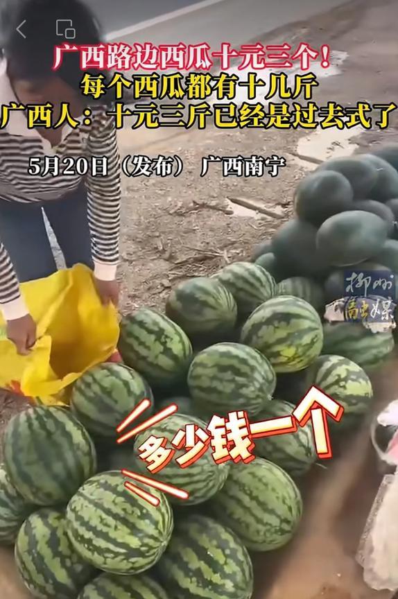 #广西 路边西瓜十元三个！每个都有十几斤，广西人：十元三斤已经是过去式了～更多#