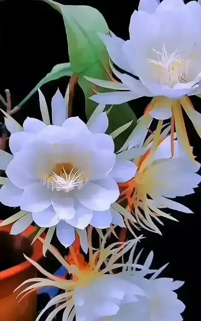 《西江月.咏网络A1百花图》
滿屏娇红嫩紫，千重叠翠芬芳。
虚拟妙笔绘春光，万种