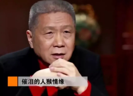 有一次，马未都在节目中说：“有一个老人收养了一只猴子，养了这只猴子5年，等到老人