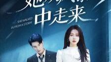 短剧《她从风暴中走来》完整版全60集免费看资源--女性觉醒的力量