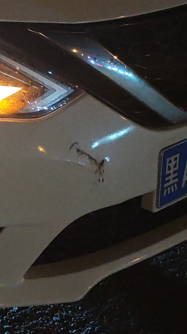 更换前保险杠和泡沫
轩逸经典在4儿子店更换前保险杠和泡沫得需要多少钱啊