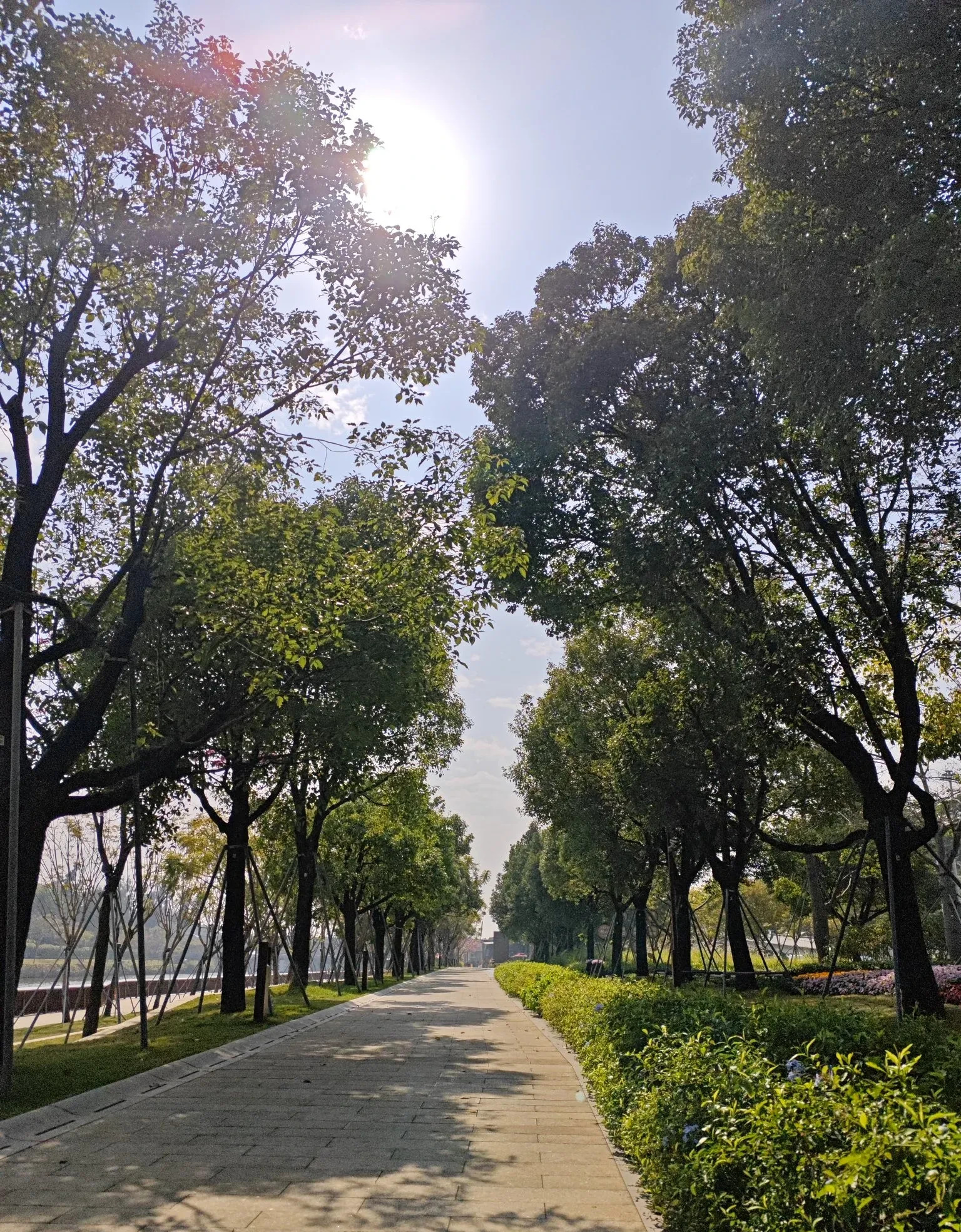 印度对华态度矛盾难修复











印度想和中国搞好关系？别逗了！一会