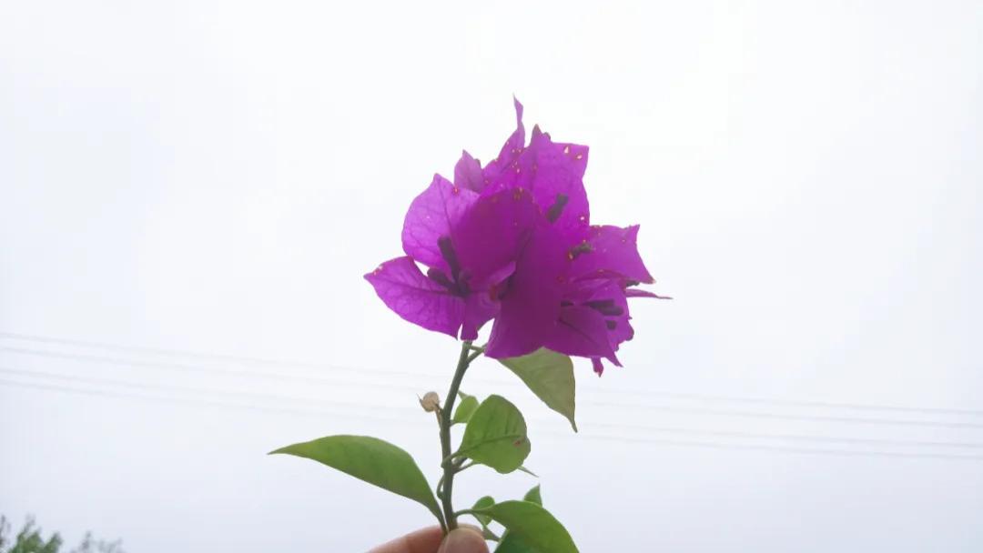 随笔：从容便能逐风