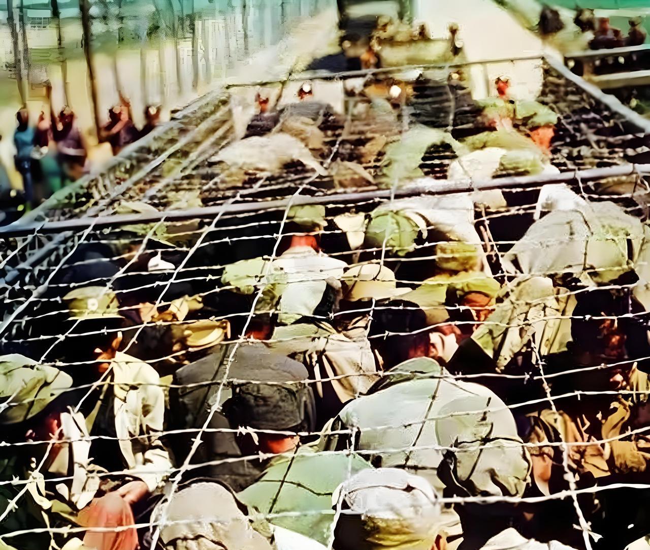 1952年在朝鲜战场上，被美军俘虏的志愿军战 士。美军毫无人性地将他们双手反绑着