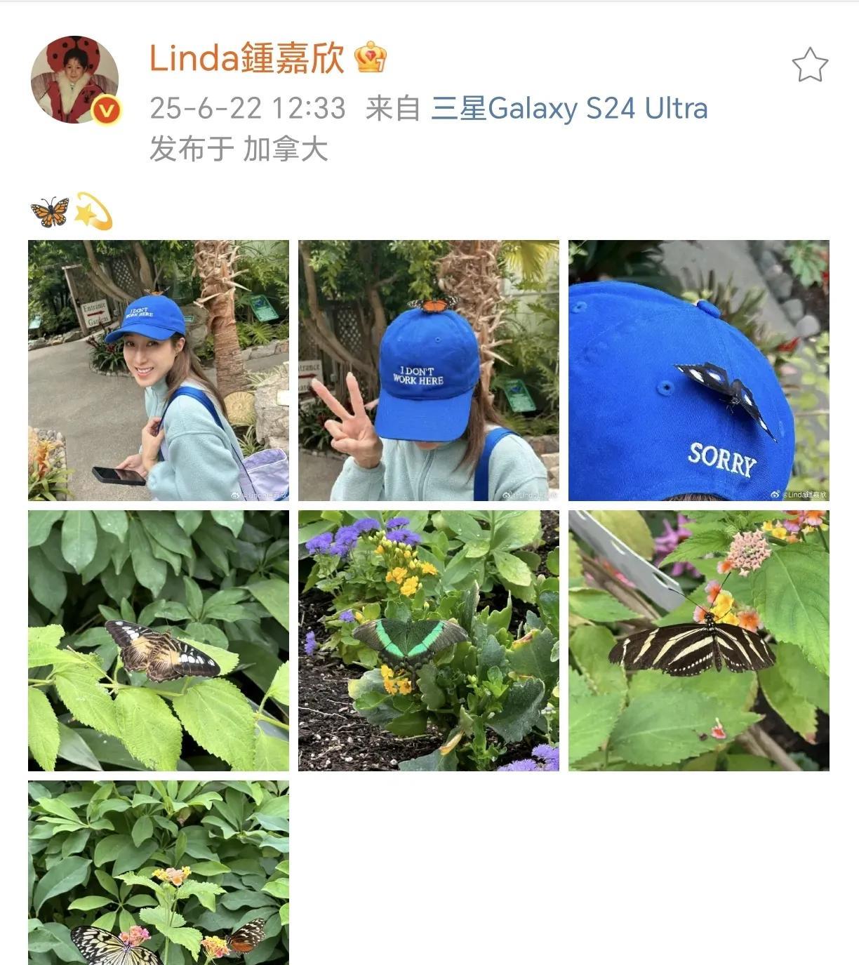 钟嘉欣好美！
6月22日，钟嘉欣在社交平台晒出了在加拿大穿着休闲服走进大自然的照