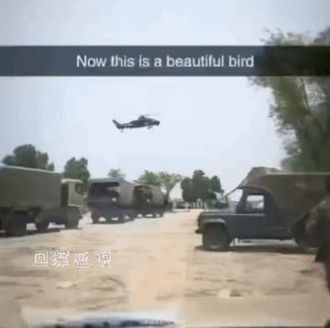 巴基斯坦媒体已经确认直-10ME武装直升机已经交付巴基斯坦陆军，交付工作从上月底