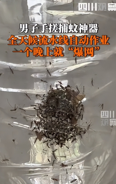 5月22日，福建厦门，一男子被村里的蚊子叮的不胜其烦，于是灵机一动，靠着风扇加紫