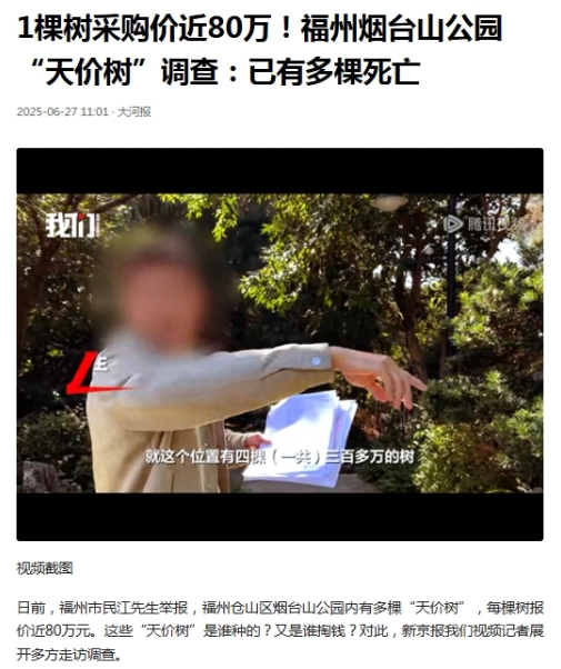 福州，有市民举报烟台山公园有多棵“天价黑松树”，施工方报账78.5万/棵，购买了