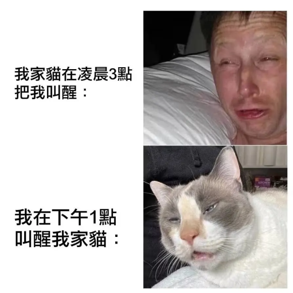 呆的时间长了，表情也一样了