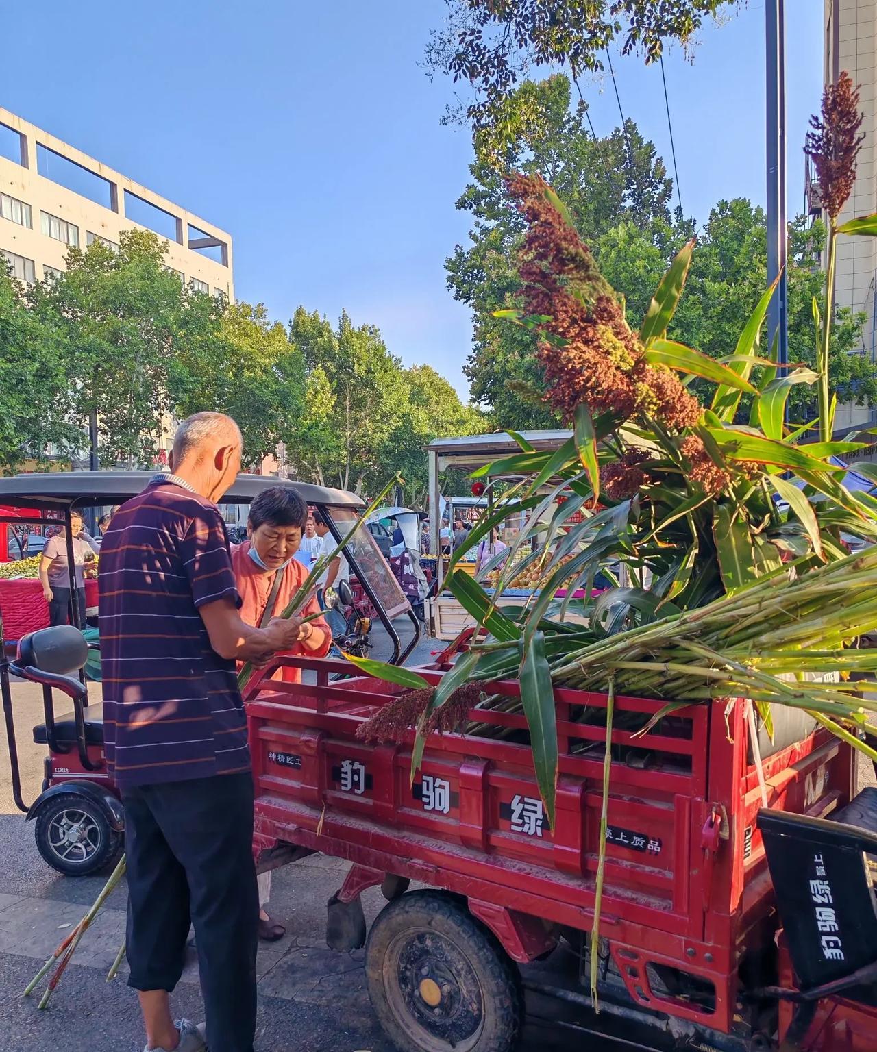 这个大叔有经济头脑。
8月12日，坐标西安，今天我见了个稀奇玩意，刚才路过时，看