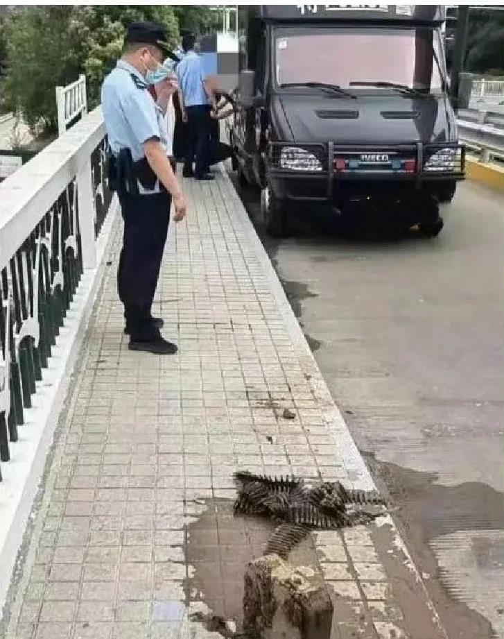 什么都可以钓到，不愧是钓鱼佬啊 ​​​！
