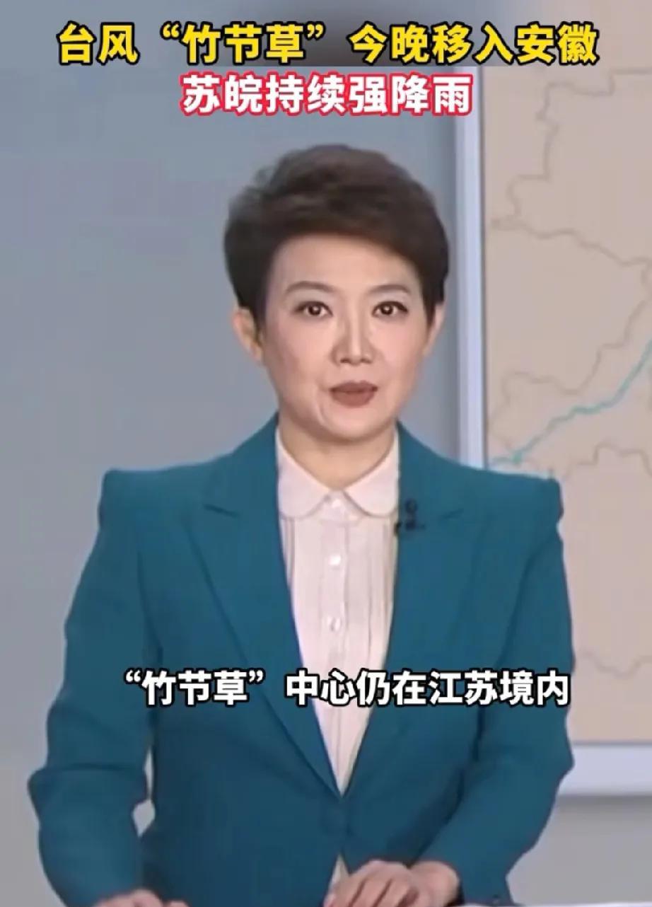 #头号创作者激励计划#台风竹节草逛遍长三角三省一市
2025年影响华东地区，带来