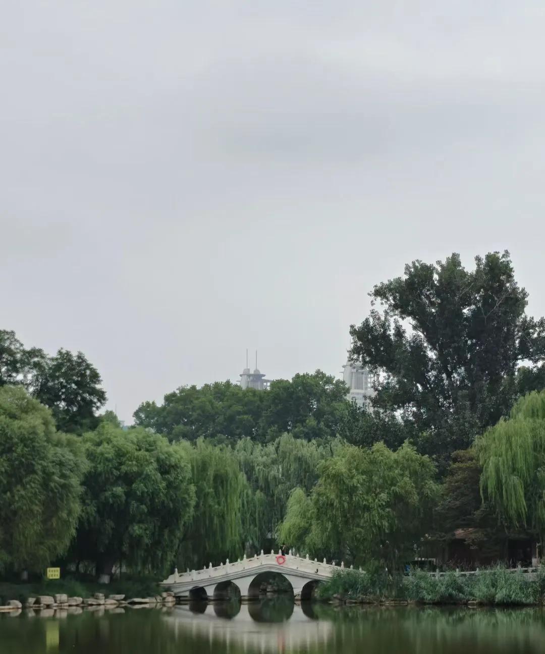 花有花期，人有时运，怀爱与诚，静等来日，在自己的世界里独善其身，在别人的世界里顺