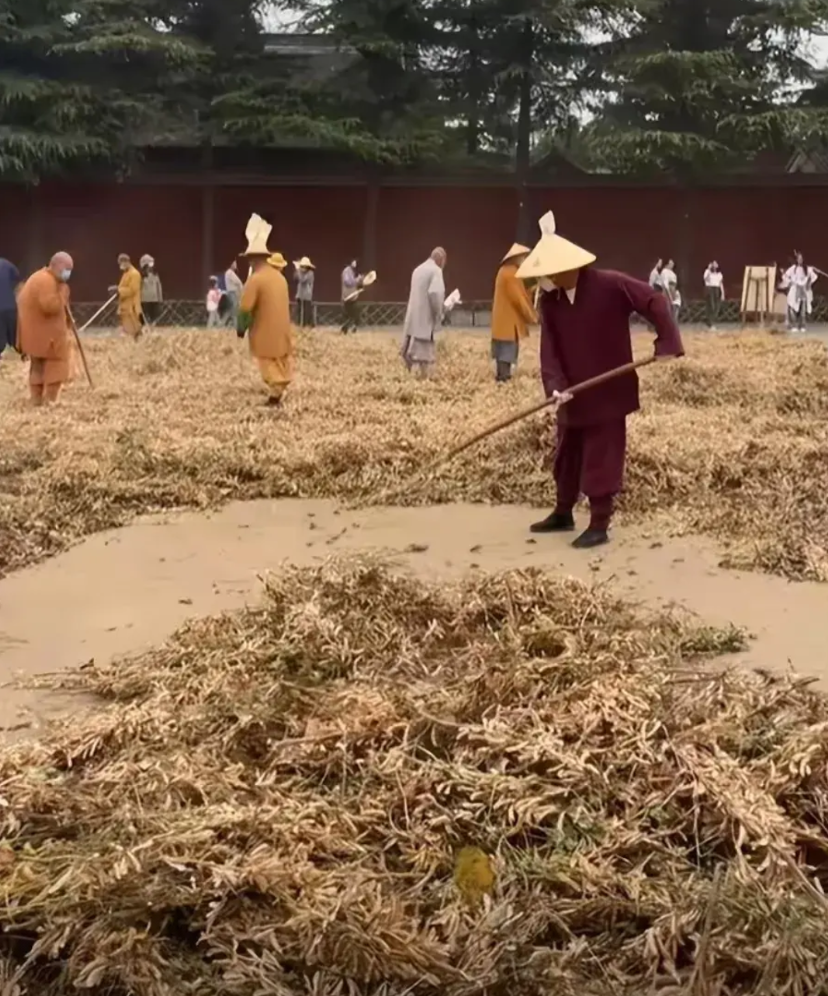 果然没猜错，少林寺新方丈实行新规后，已有30多人离职不干了！

7月29日，释印