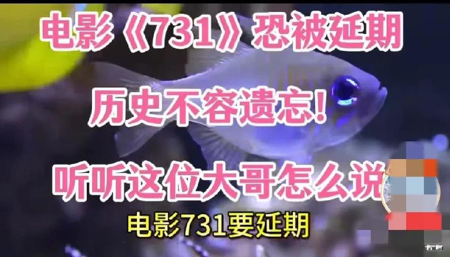 我认为那些说731又延期了的，都是反对731上映的。731能不能上映己不是一部电