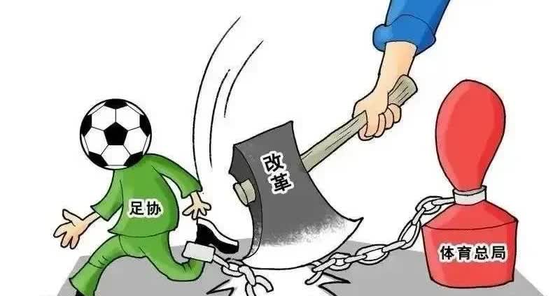 我看了一下《体育法》，足协是对的！
足协对社会足球“伸手”并非越权，而是法定职