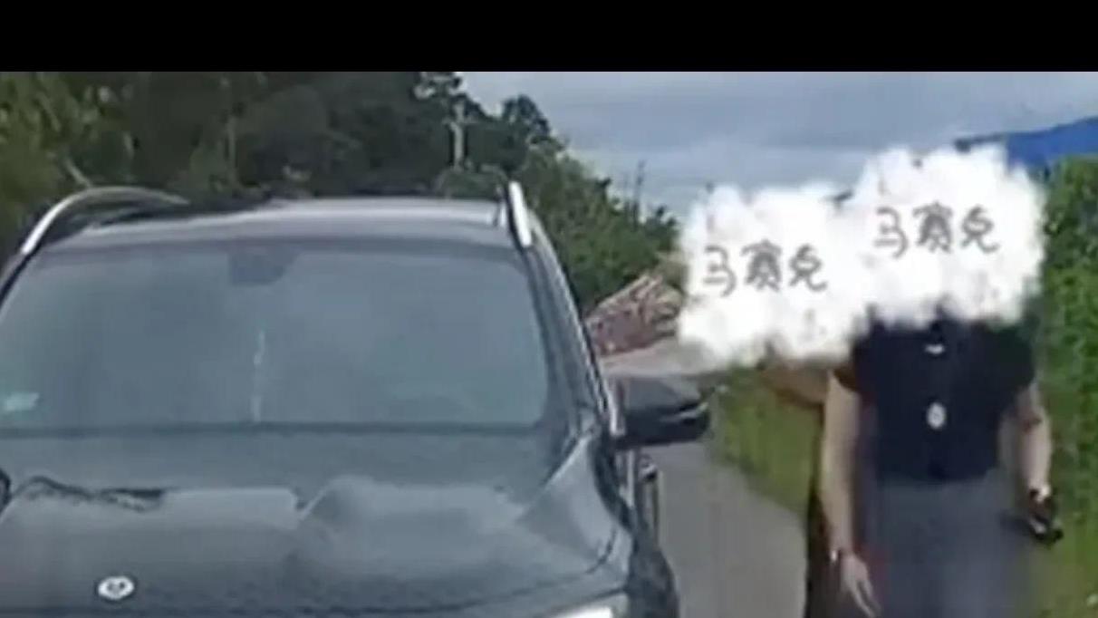 关于亮“亮证姐”大家已经把处理结果都给想好了………
1、奔驰车是借别人的， 证件