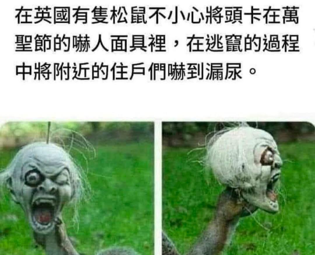 大部分吧会吓到漏尿的…