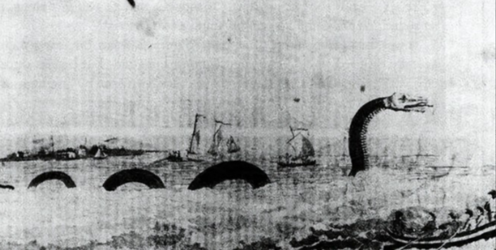 1851年，美国一艘捕鲸船在太平洋斩杀了一条巨大的蛇形巨兽，光它的头都熬了10桶